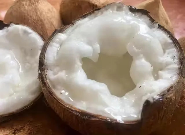 VIETNAMESE MACAPUNO COCONUT PURE NATURAL FROM VIET NAM ORGANIC COCONUT READY TO SHIP