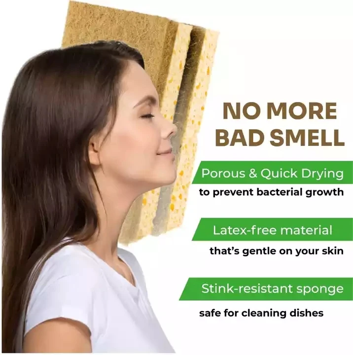 Biodegradable Dish Washing Cellulose Coconut Fiber Sponge For Kitchen Oem