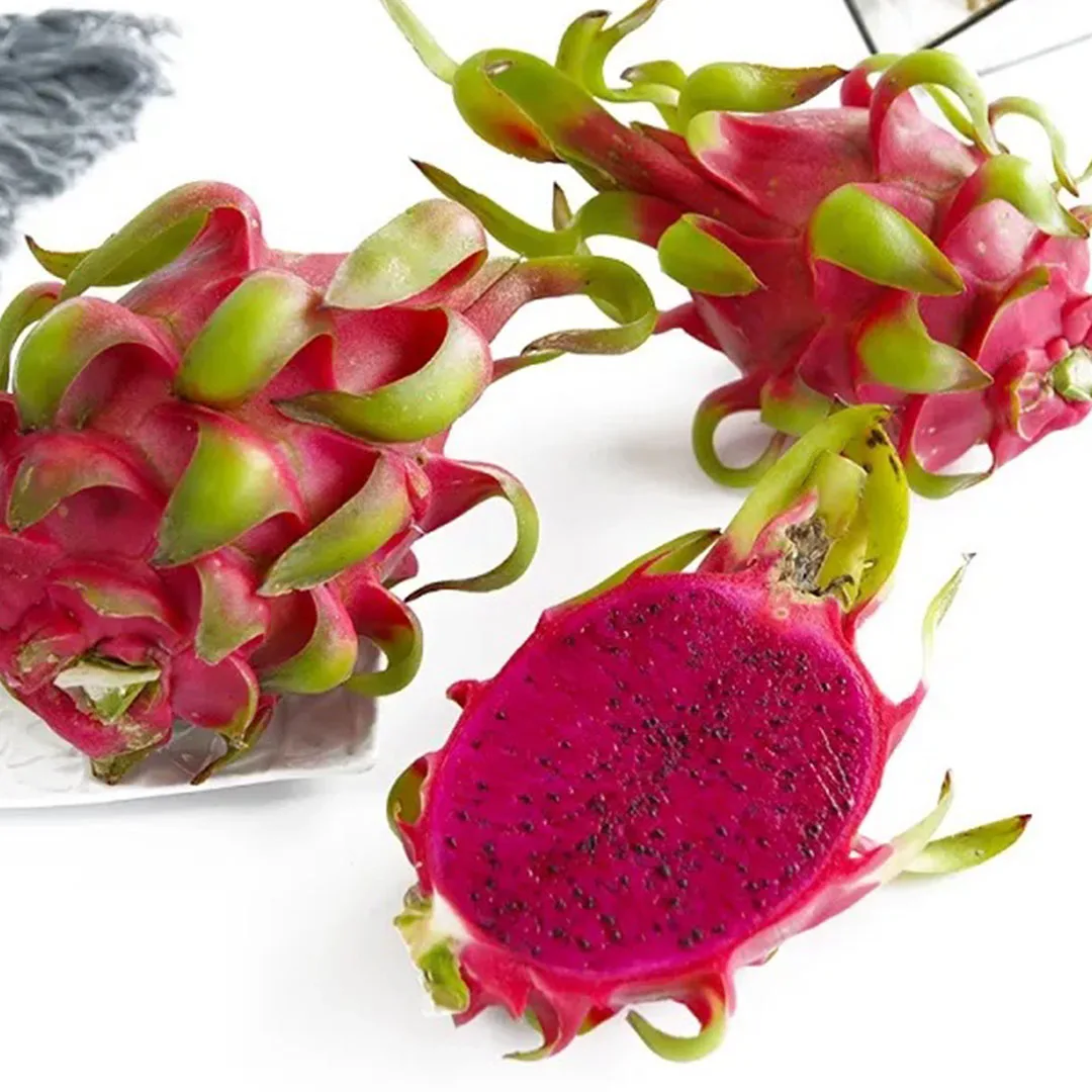 BEST SELLING 2023 NATURAL HIGH QUALITY RED DRAGON FRUIT VIET NAM FOR SUPER MARKET