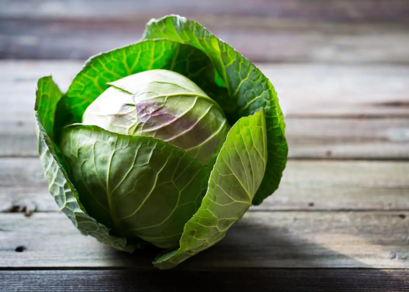 OEM Service FRESH Cabbage 100% Nutrients Cabbage Vegetable Wholesales Price For Fresh Vegetable Cabbage cheap price bangladesh