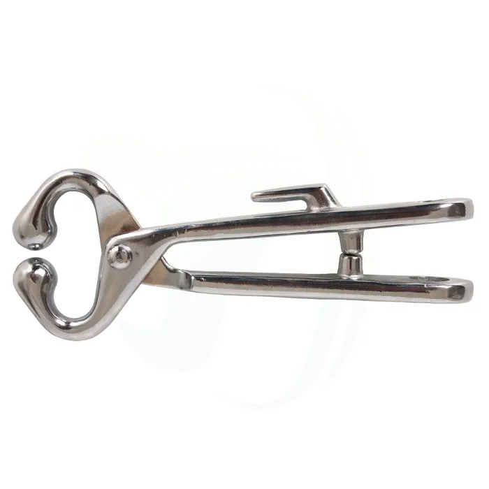 Veterinary Instrument Cattle Pillar Bull Nose Holders Bull Holder Stainless Steel