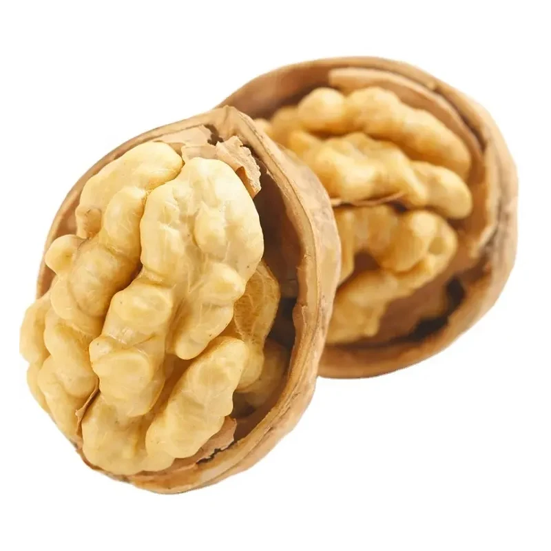 Wholesale Healthy Delicious 100% Organic Best Quality Export Walnut Best Price Raw Dry Fruits Washed Walnuts