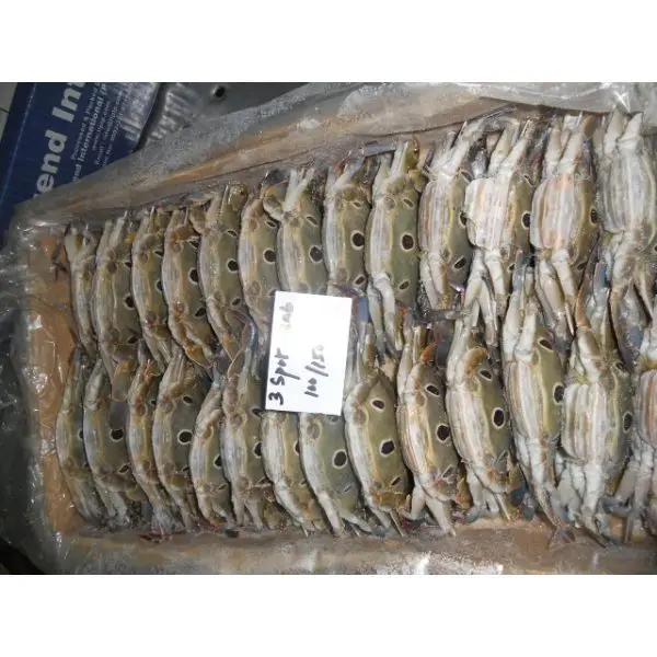 Frozen Crab/Whole Frozen Crab Best Quality Stock Blue Crab For Sale