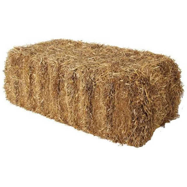 Alfalfa Hay for Animal Feed/Fresh Alfalfa Hay For Sales