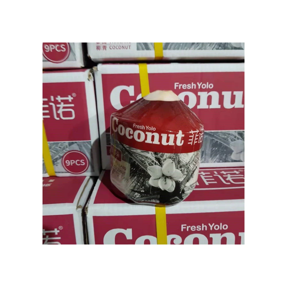 Thai Coconut Tender Sweet  Coconut Thailand