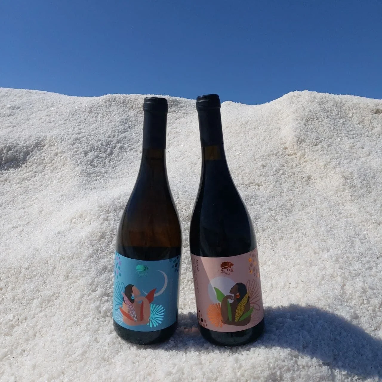 Organic Italian White Wine Catarratto-Zibibbo Igt Terre Siciliane 750cl GVERDI Selection Made Italy Italian Natural White Wine