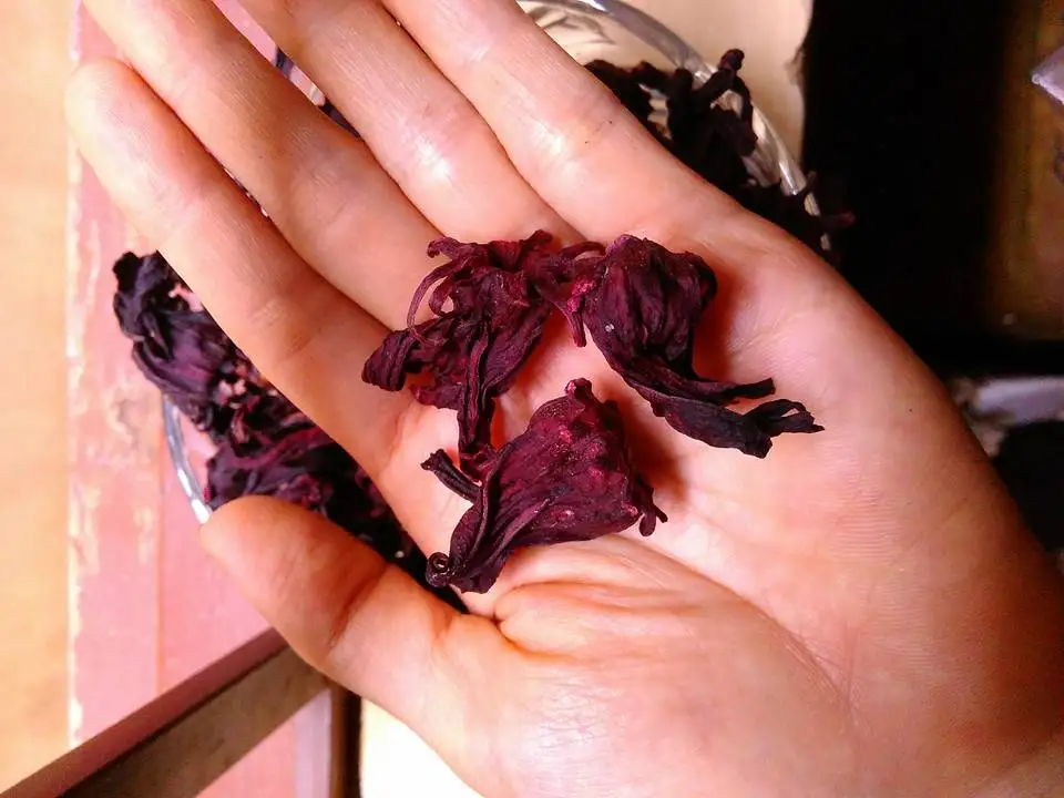 HERBAL TEA FROM DRIED FLOWERS - HIBISCUS FLOWER FROM DIRECT SUPPLIER WITH HIGH QUALITY