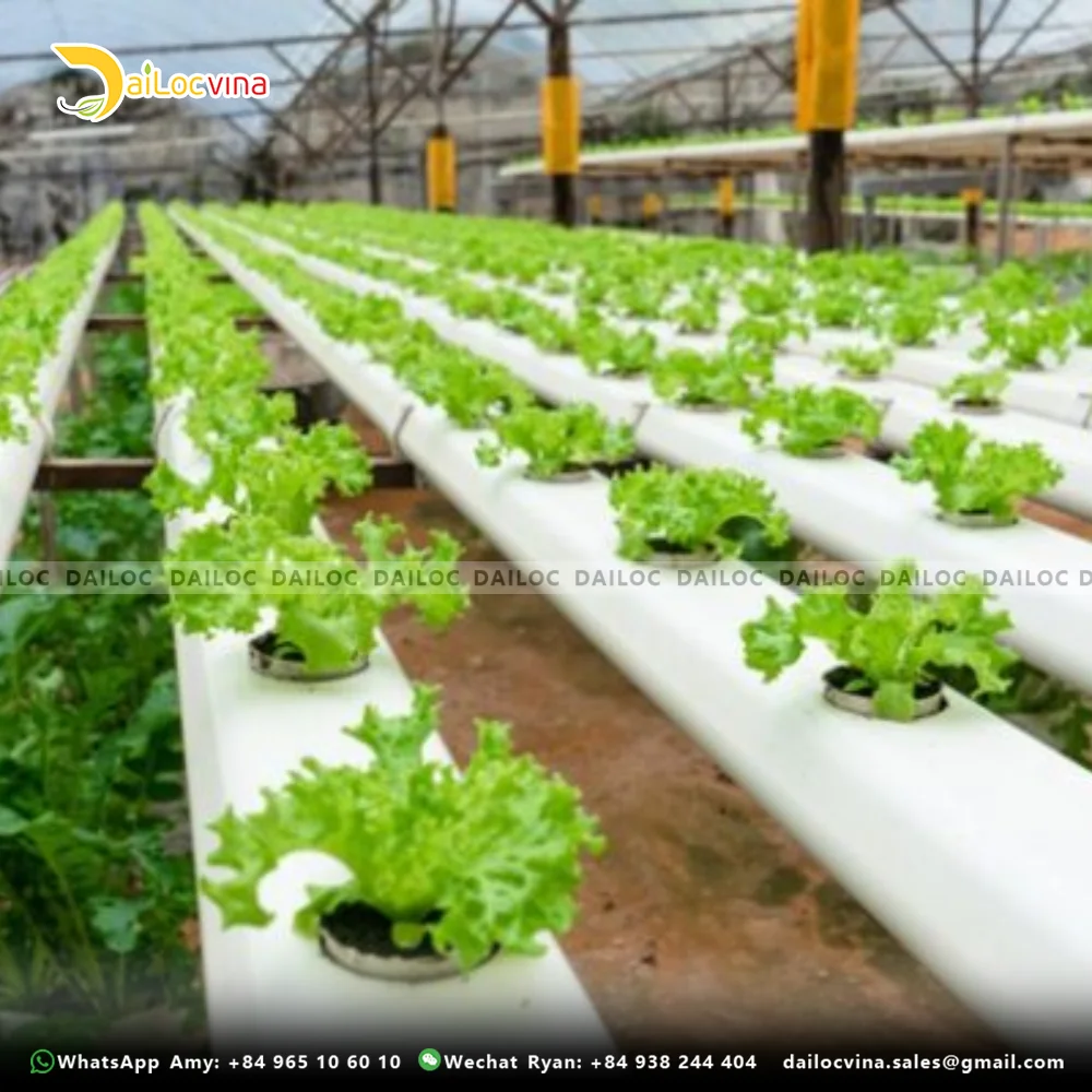 HOT SELLING COCO PEAT GROW BAG SLABS USED FOR GROWING VEGETABLES AND CHEAPEST PRICE FROM DAILOCVINA