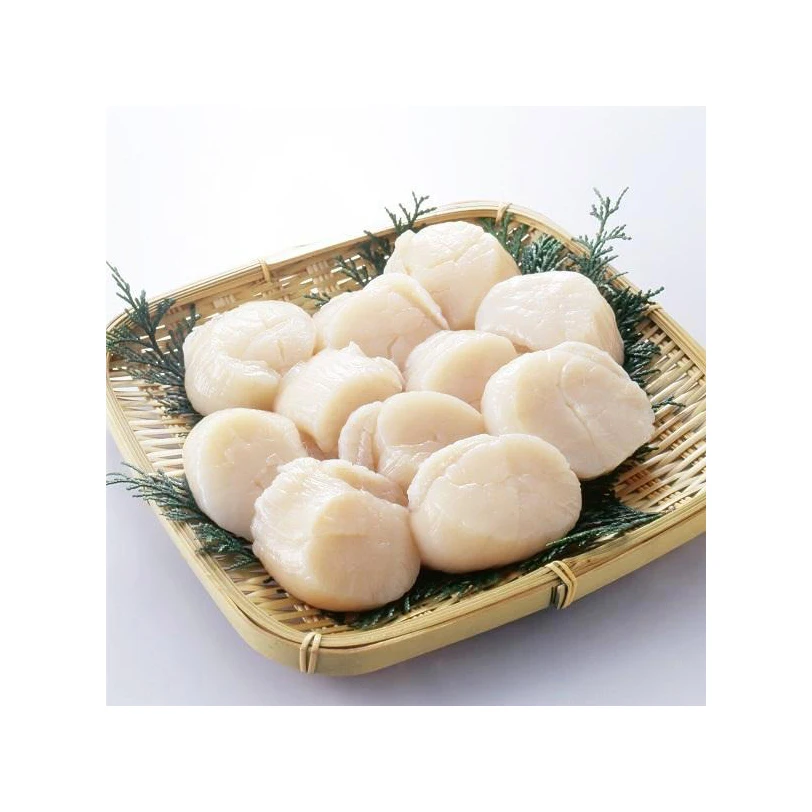 Factory Affordable Popular Shellfish Manufacturers Frozen Sea Scallop Dried Scallop Shellfish for PET