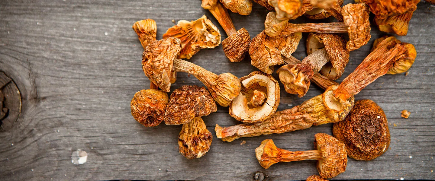 Вьетнамские сушеные грибы agaricus blazei murrill вкусные с большим количеством на экспорт