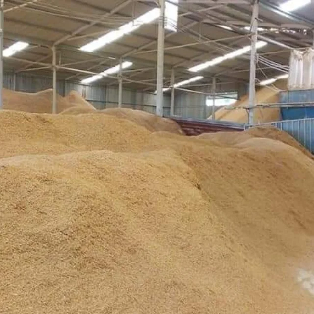 RAW RICE HUSK FROM VIET NAM BULK QUANTITY Can Be Used As Wood Pellets Fuel