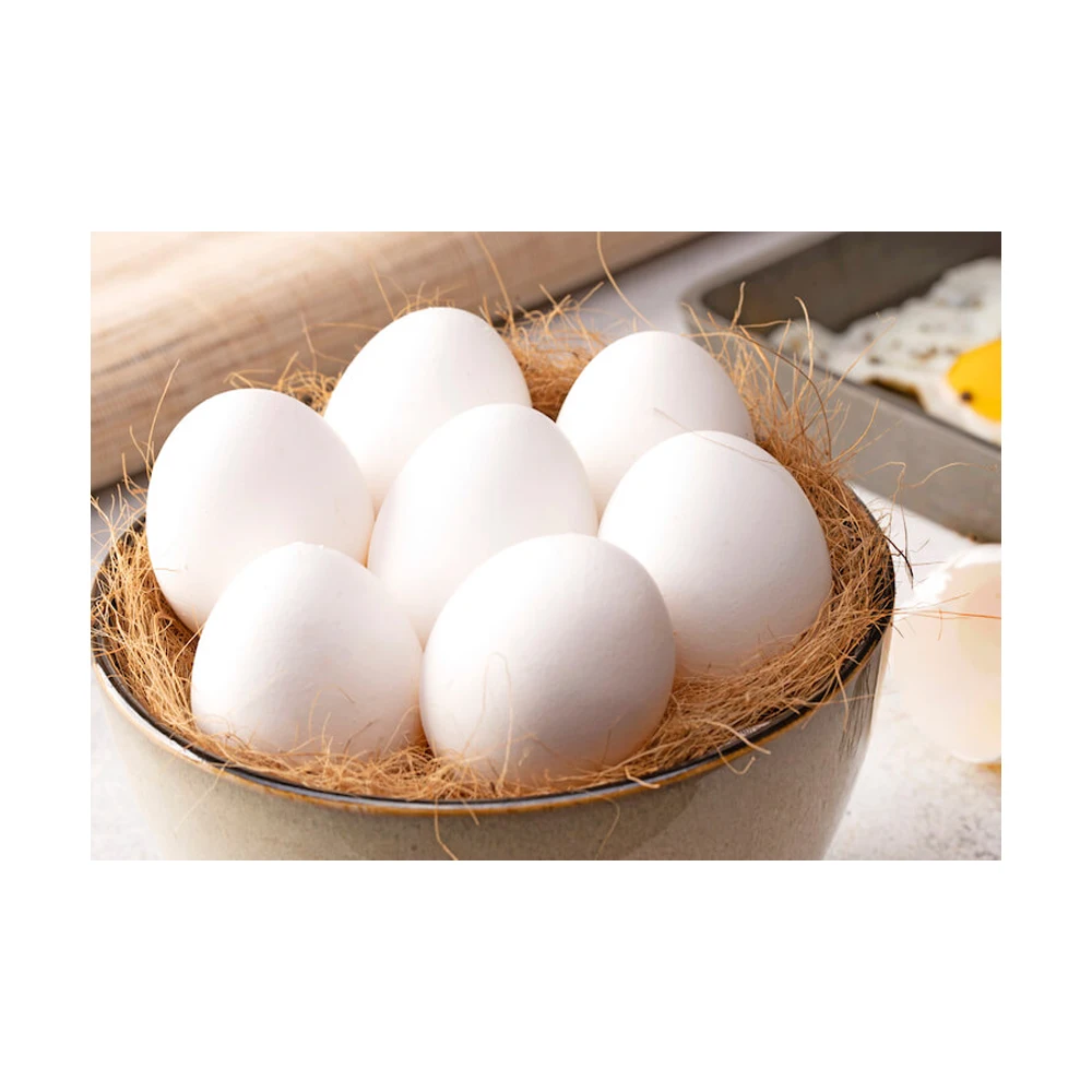 Свежие куриные яйца на ферме, белые куриные яйца в Ракушке, оптовая продажа, 100% органические белые яйца, Прямая поставка с завода, белые