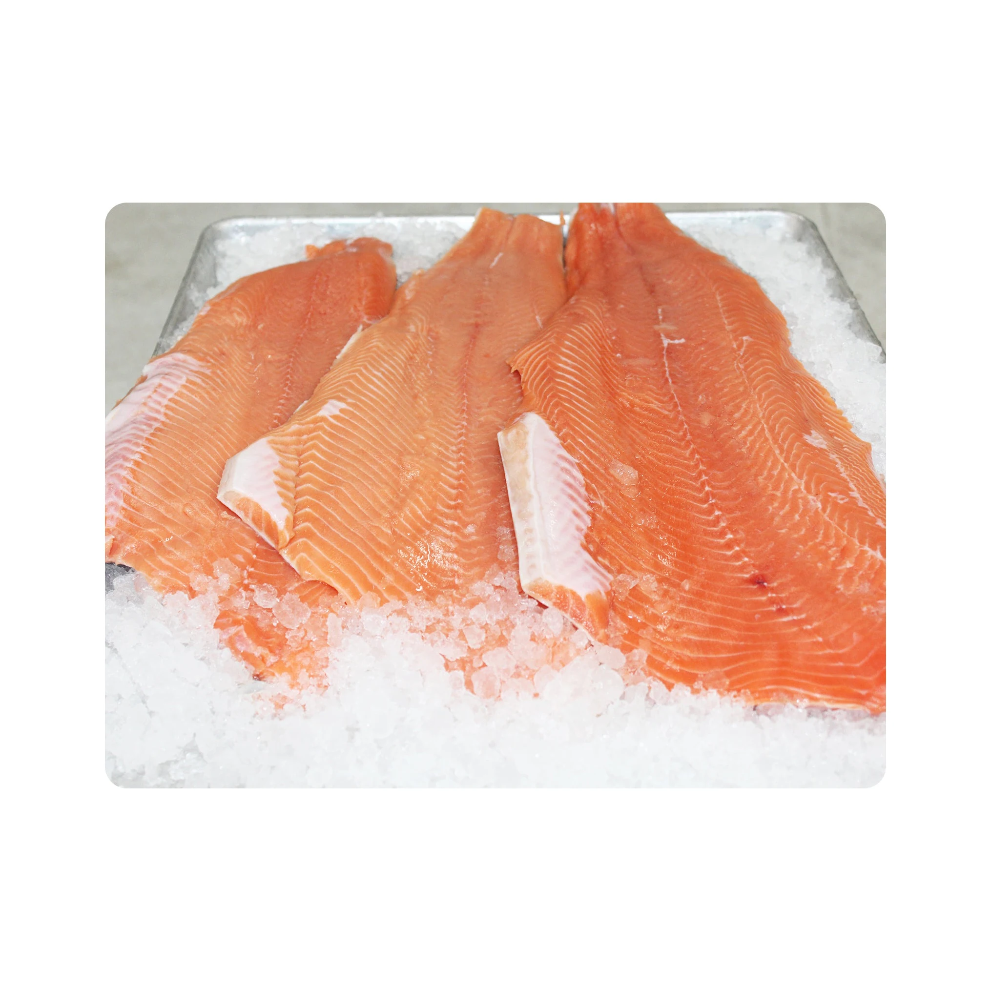 Salmon Fish Frozen Fillet Fresh And Frozen Atlantic Salmon Fish/ Frozen King Salmon Fillet
