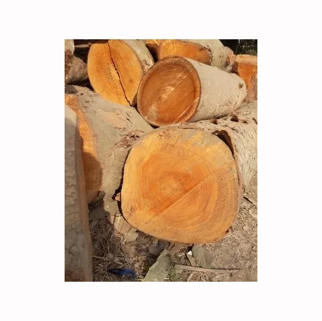 Round 1 To 5 Red Sandalwood Logs High Quality Grade Natural Ebony Veneers Sandalwood Sheet Black and White Ebony Wood Veneer