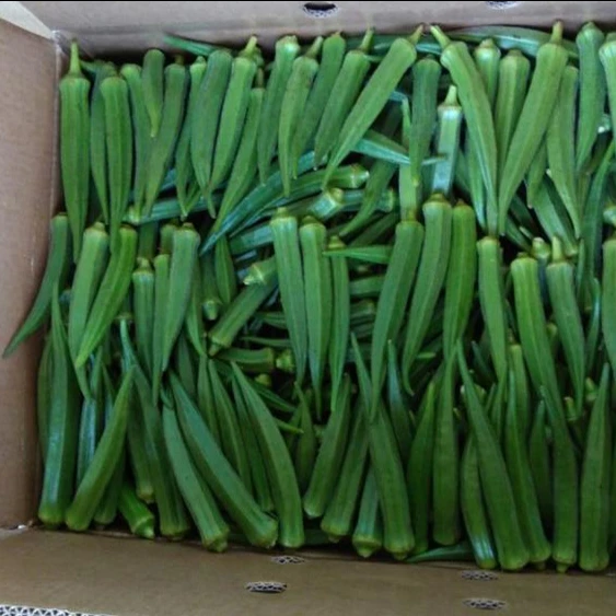 OKRA (5).jpg