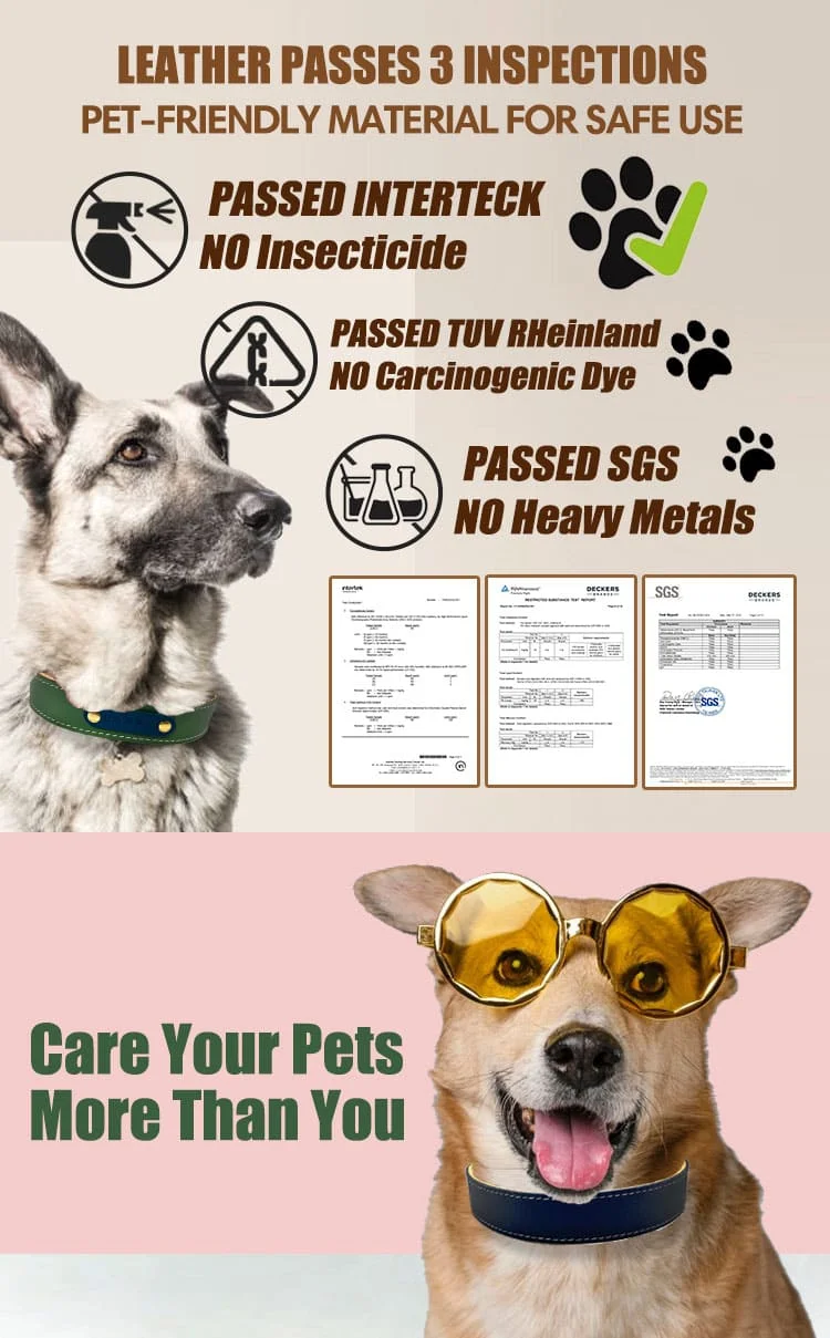 Dog Collar T17 N3L06