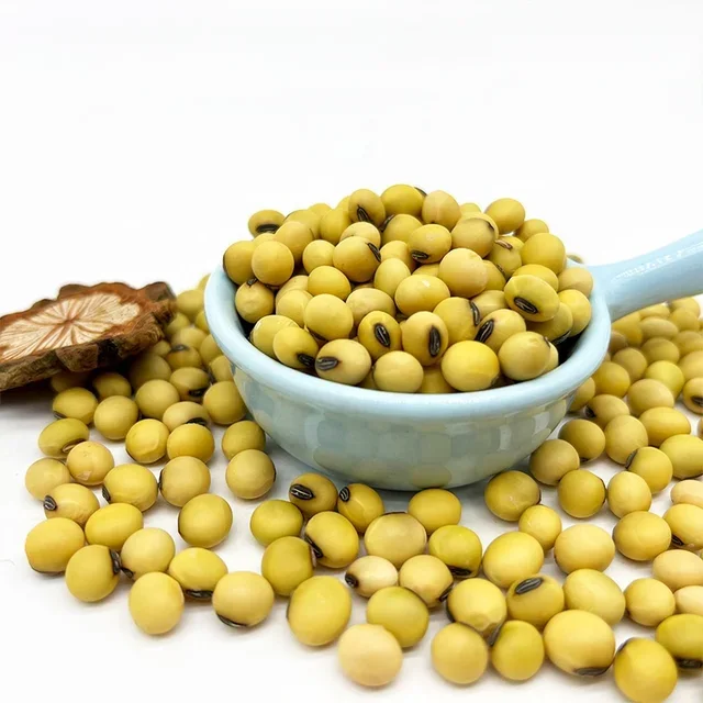 Wholesale High Quality Soybean/Soya Bean, Soybean Seeds