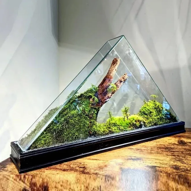 Best Price Large Triangular Glass Succulent Plant Terrarium Planter with Iron Frame for Home Garden Office Decoration.