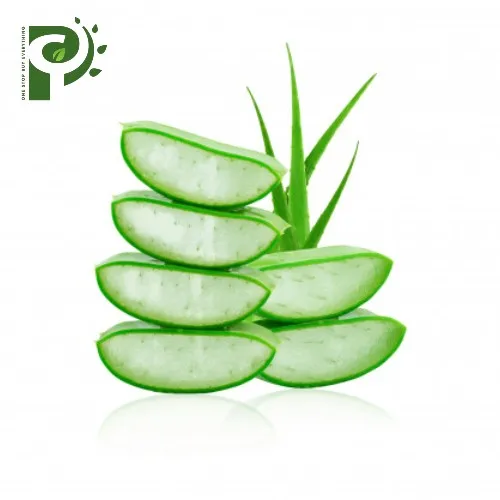 Top Best Seller Aloe Vera 100% natural from vietnam