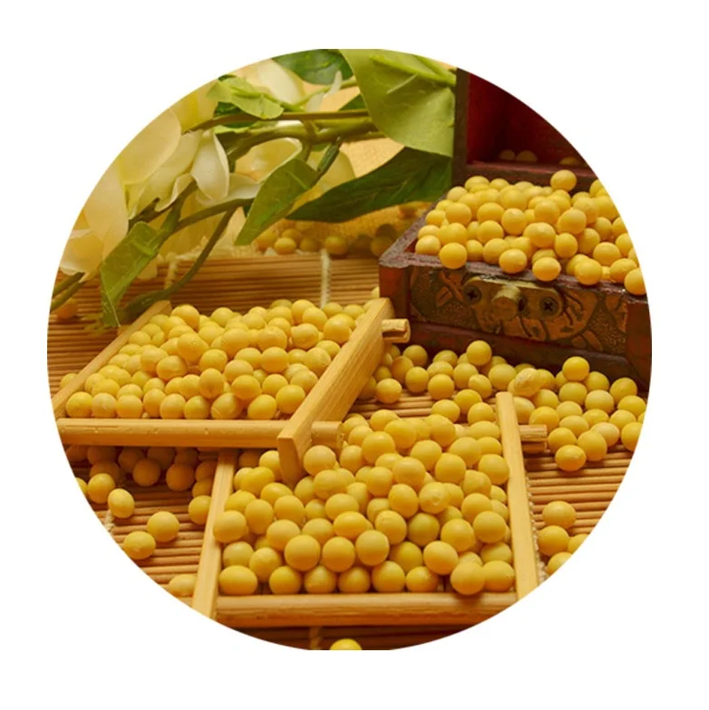 Производство качество Non-Gmo соевые бобы желтый