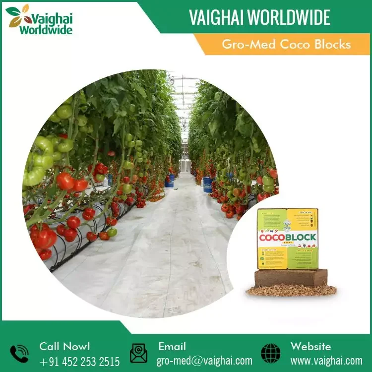 Raw Compressed Coco Peat Coco Coir Coconut Bricks Big size Block from Wholesale Supplier in Affordable price