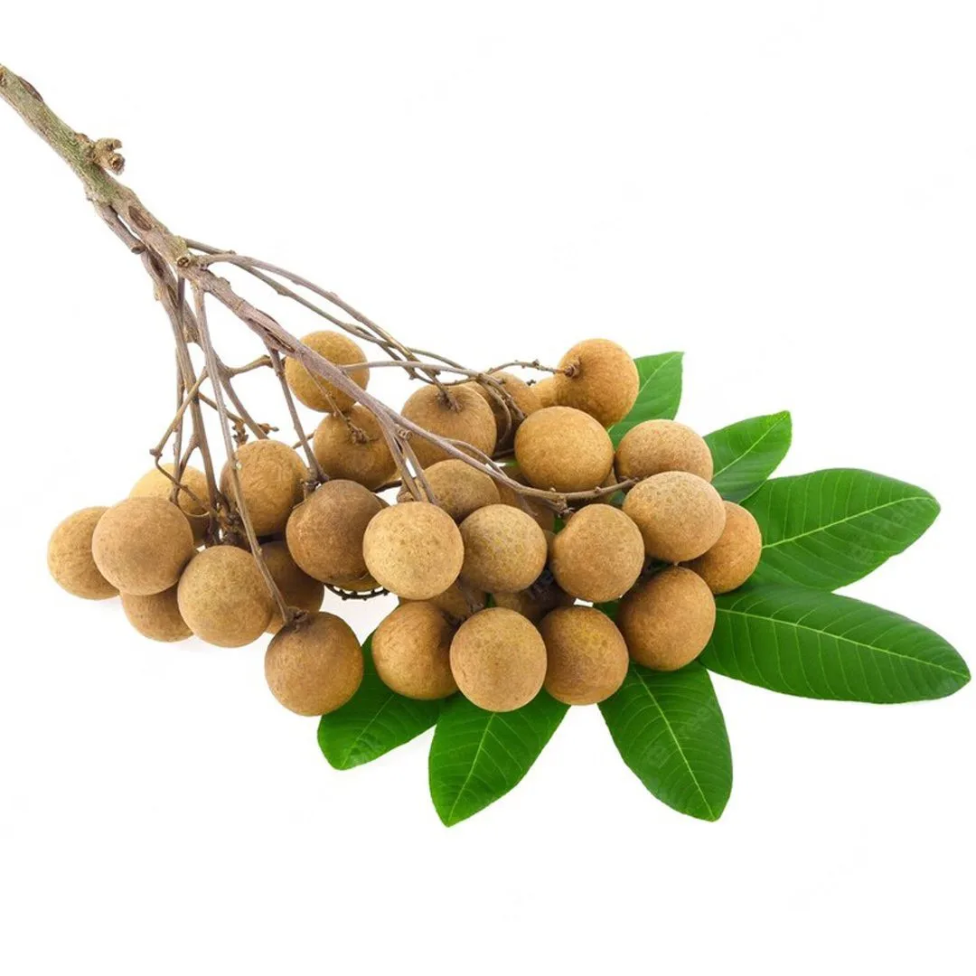 Вьетнам свежий Longan 100% Свежий фрукт лучшая цена оптом Горячая Распродажа