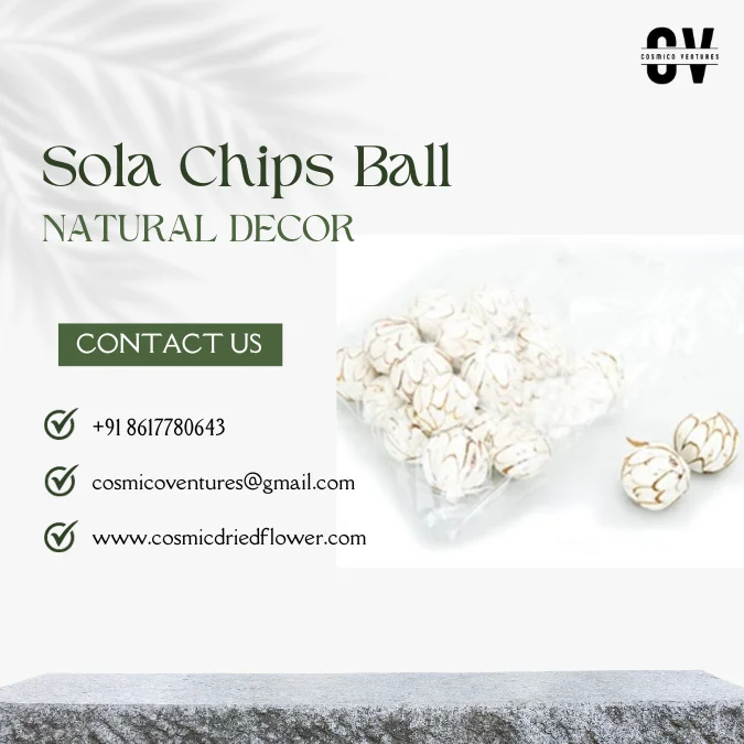 Popular Premium Quality Sola Chips Ball for Wedding Home Office Event & Dried Flower Arrangement