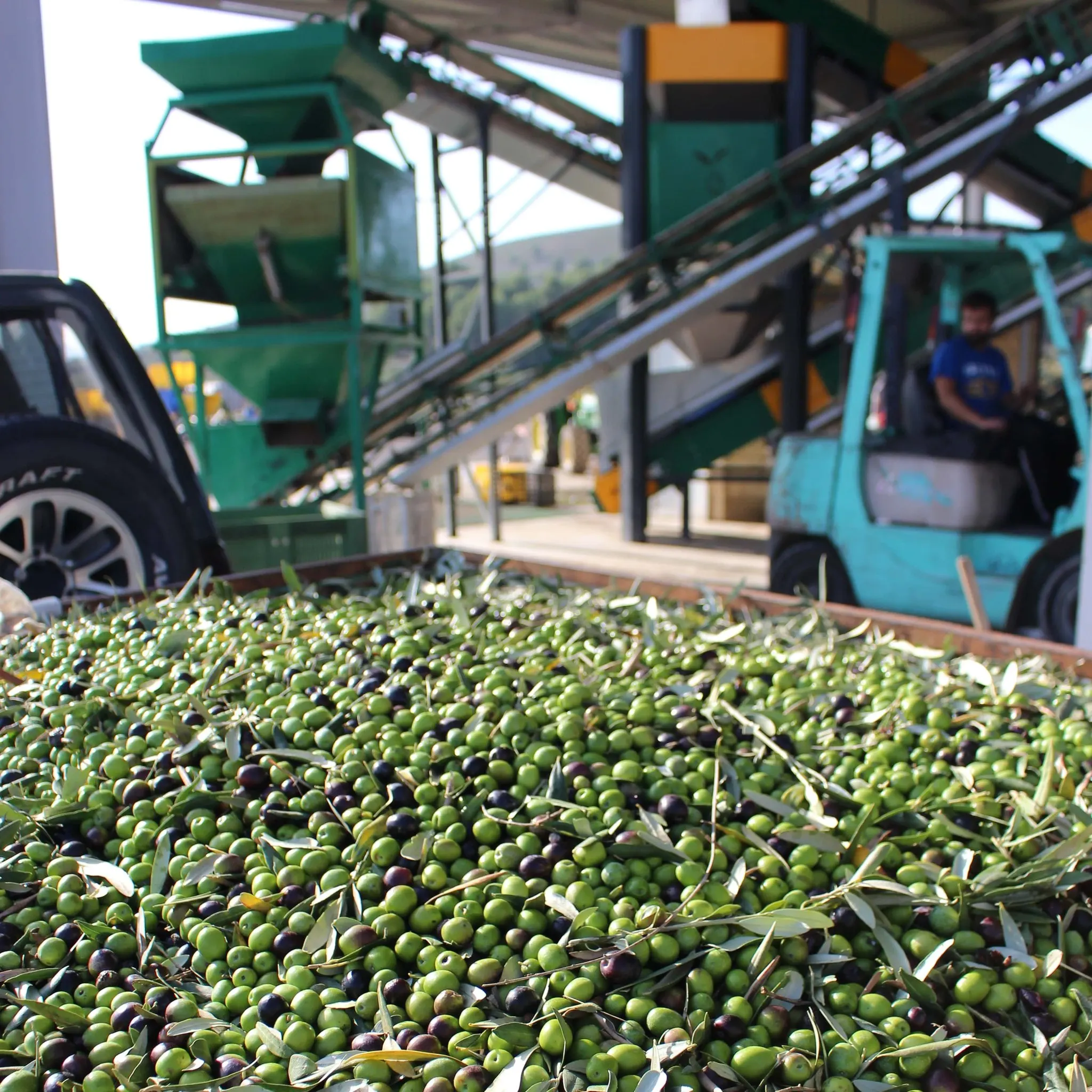 luxurious cold pressed extra virgin olive oil from Spain for cooking and dressing classy glass packaging