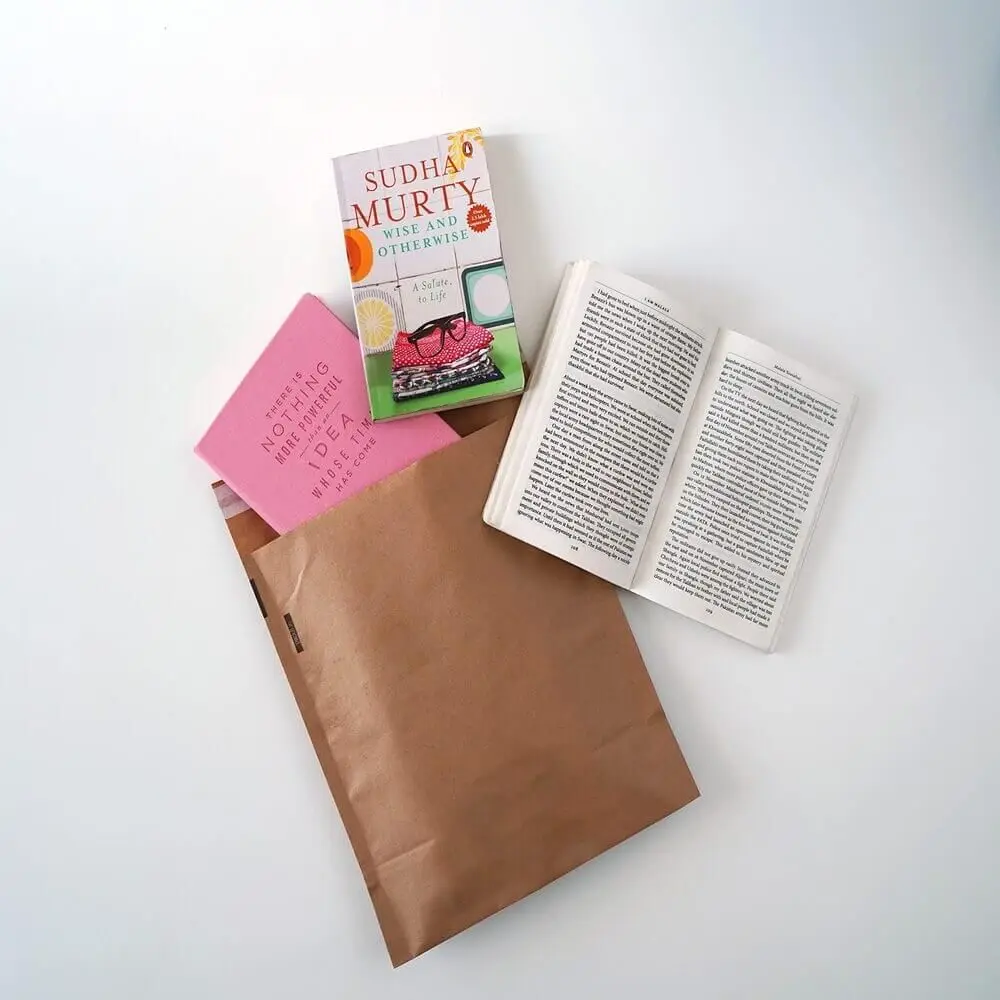 Fully Biodegradable Kraft Paper bag Custom Colored Mailer For Book and Garment Package with Custom Logo
