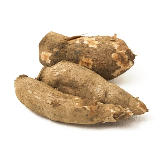 Best Price Bulk Sale Top Quality Fresh Yuca Root (Cassava) / Fresh Vegetables Tapioca Cassava wholesale sale From German