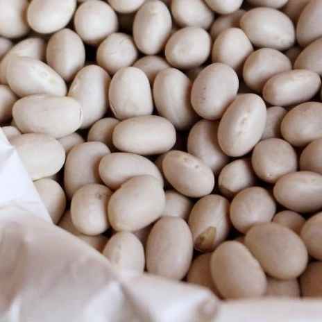 Мука фасоли для продажи