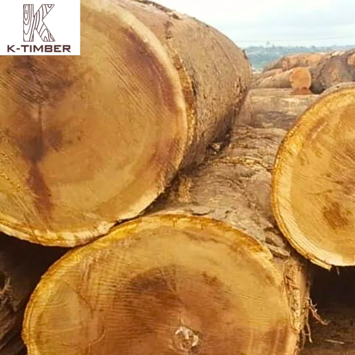 Natural wood logs wood raw materials oak wood Iroko Sawlogs/ Square Logs wholesale Angola construction floor interior building