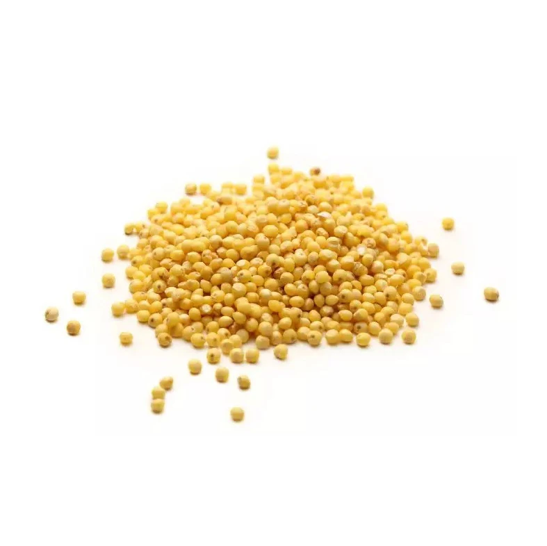 Crop Grain Dried Hulled Yellow Millet For Bird Feed