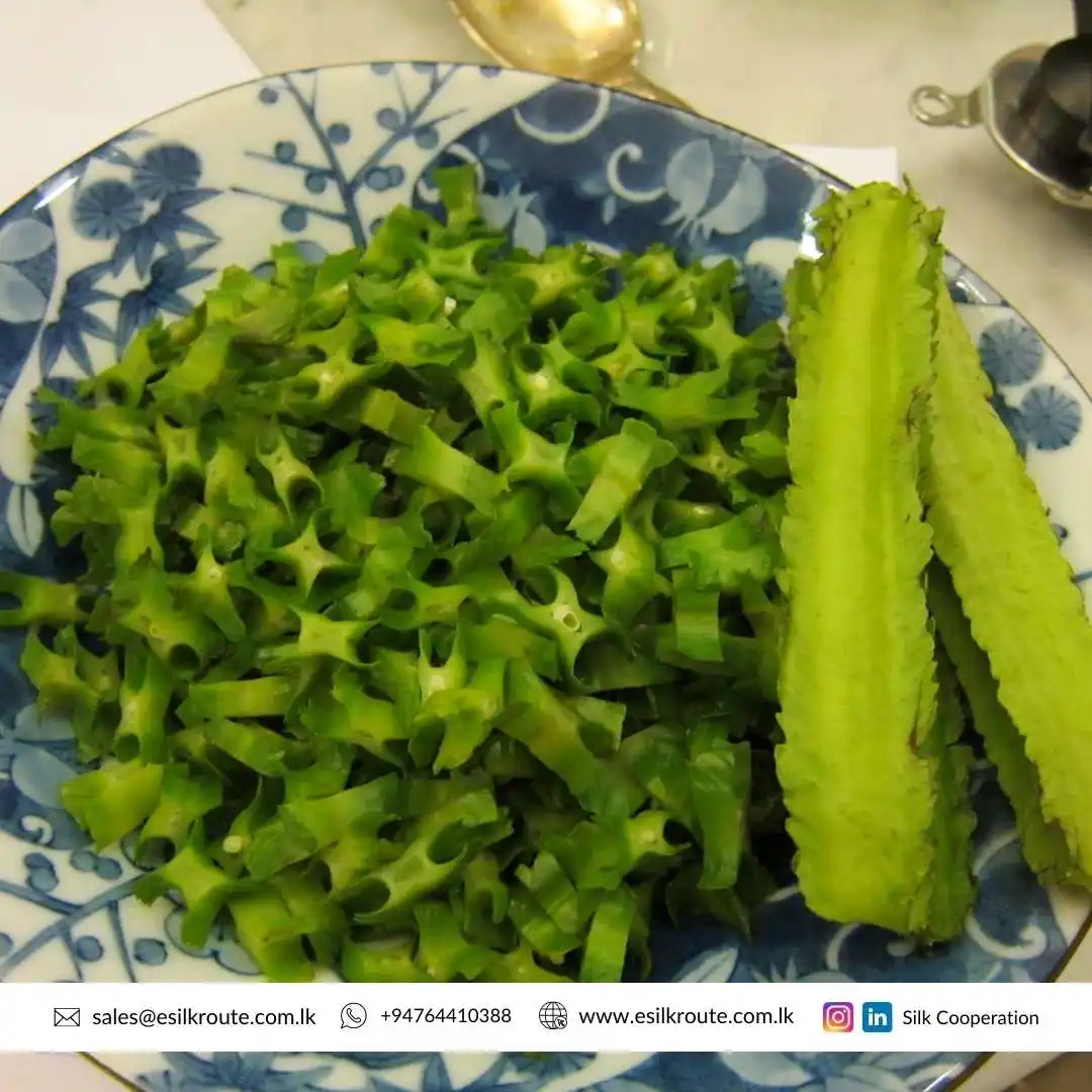 Rich in Vitamin and Protein 100% Pure Natural Organic Canned Winged Bean (Dambala) in Brine at Wholesale Price