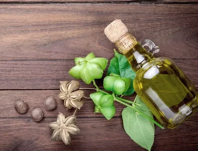 Поставщик масла Sachi Omega 3 6