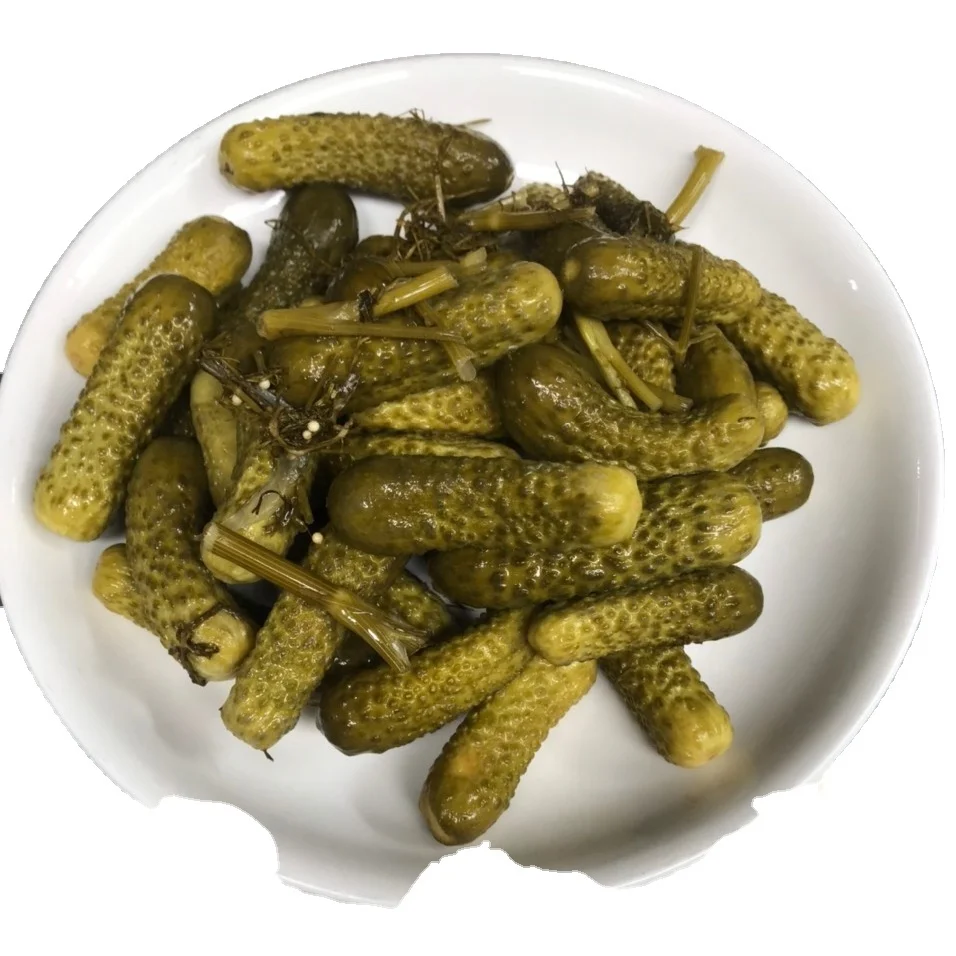 BABY CUCUMBER PICKLES IN BULK FROM VIETNAM PRODUCER OEM PACKING WITH PRIVATE LABEL