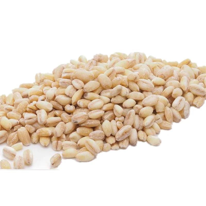 Wholesale Cheap Price Wheat Grain With Customized Packing / 100% High Quality Natural Wheat