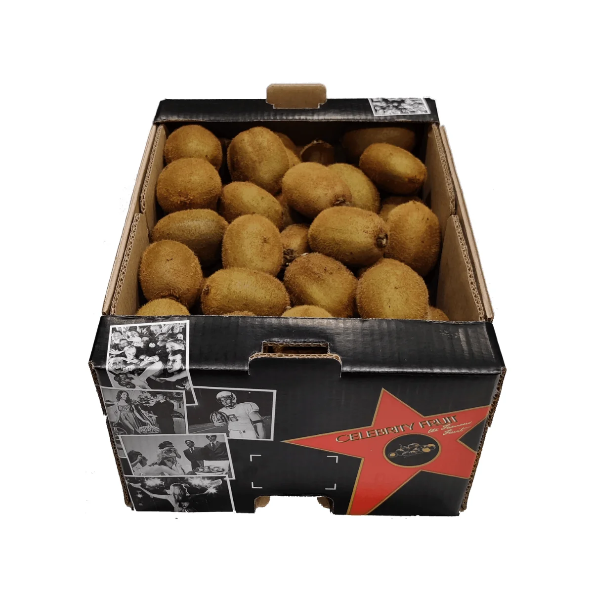 Italian Hayward Fresh Kiwi, 39 size, 75-80 grams, 9Kg Celebrity Fruit loose box, Green Actinidia chinensis