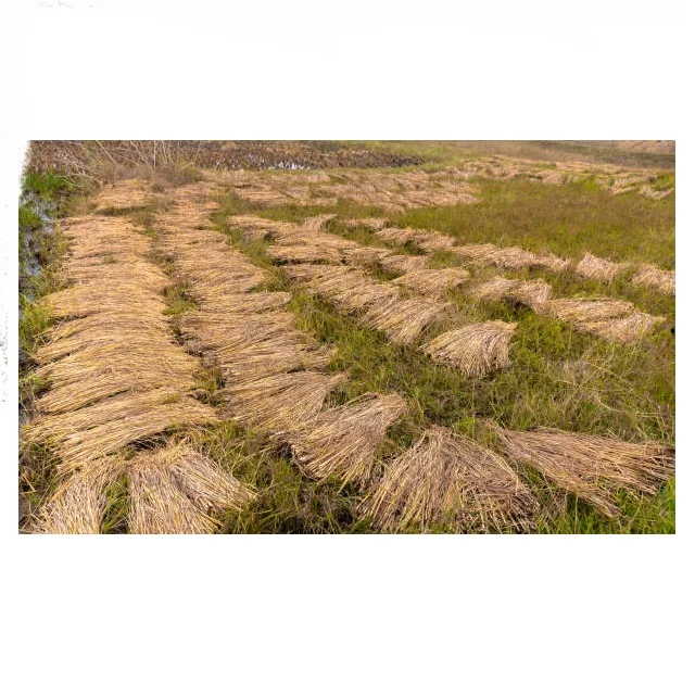 Easy Feed Haylage Organic Haylage FiberMax Haylage Grass Haylage Blend