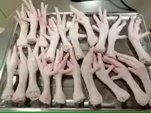 Premium Quality Chicken Frozen Wholesale Cheap Price From Brazil Halal Frozen Whole Chicken and Parts Frozen Whole Chicken