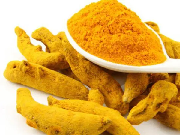 Indian Curcumin-Rich Turmeric Fingers High-Quality Curcuma Longa Fingers Bulk Turmeric Fingers for Wholesale Spice-Grade