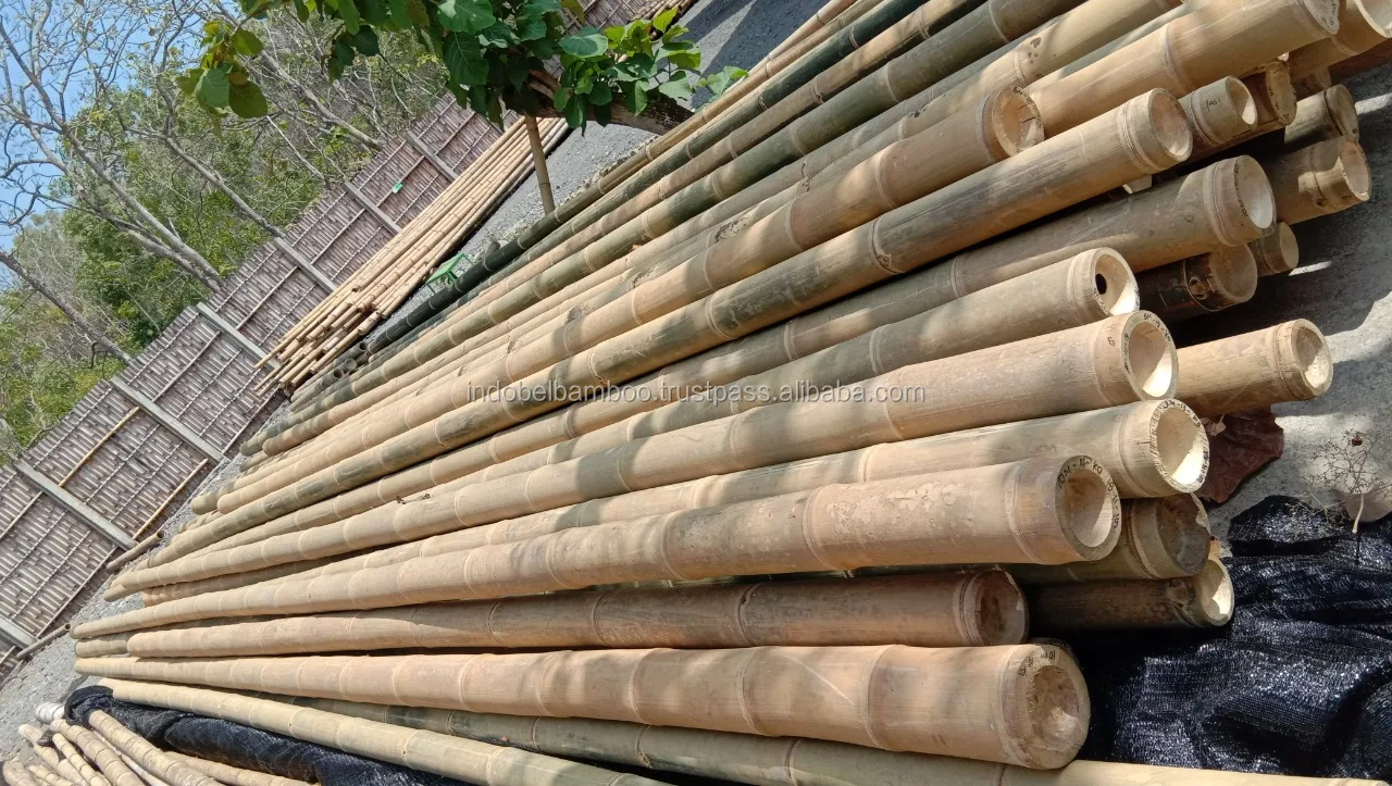 400 CM High Quality Gigan Bamboo Poles Treated for Building Construction