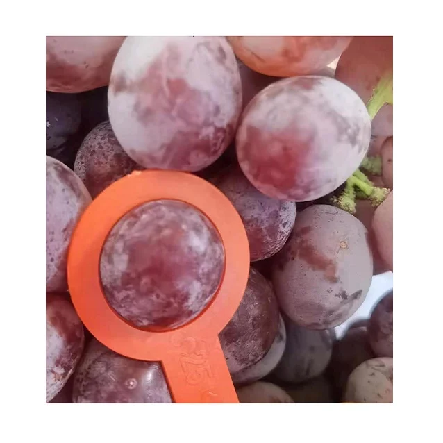 Свежий красный виноград для продажи в Европе.