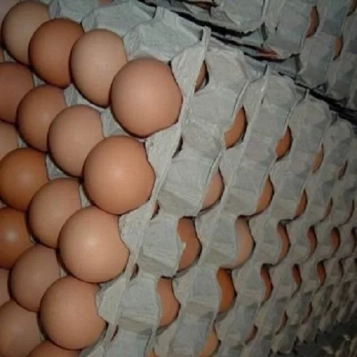 Свежие коричневые белые столовые яйца/свежие куриные яйца продажа по