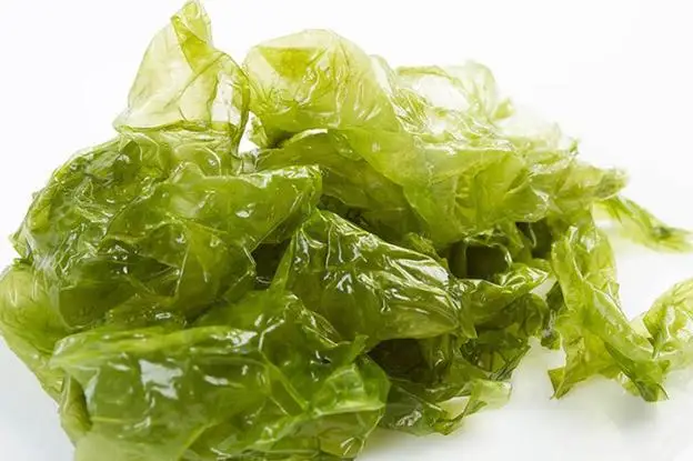 Exuding a fresh breath bagged sea lettuce green Ulva Lactuca NORI with favorable price Akina
