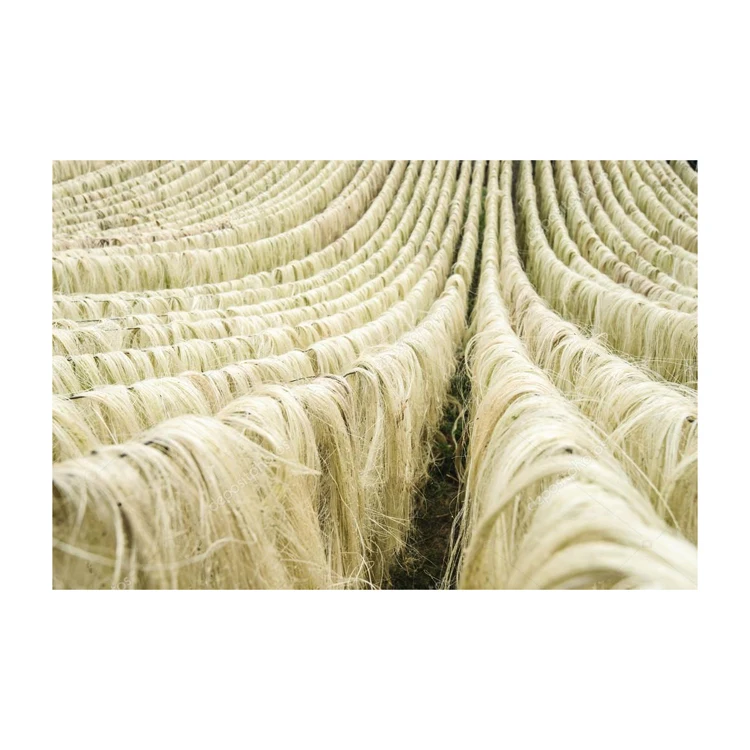 100% Natural Sisal Fiber bulk price / High quality sisal fiber