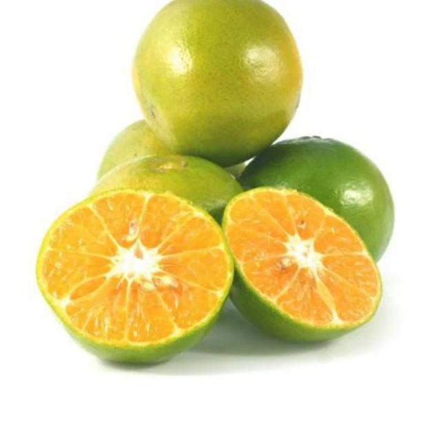 OEM Coconut Juice For export, there are 6 flavors: Orange, Strawberry, Japanese Melon, Pineapple, Lychee, Grape.