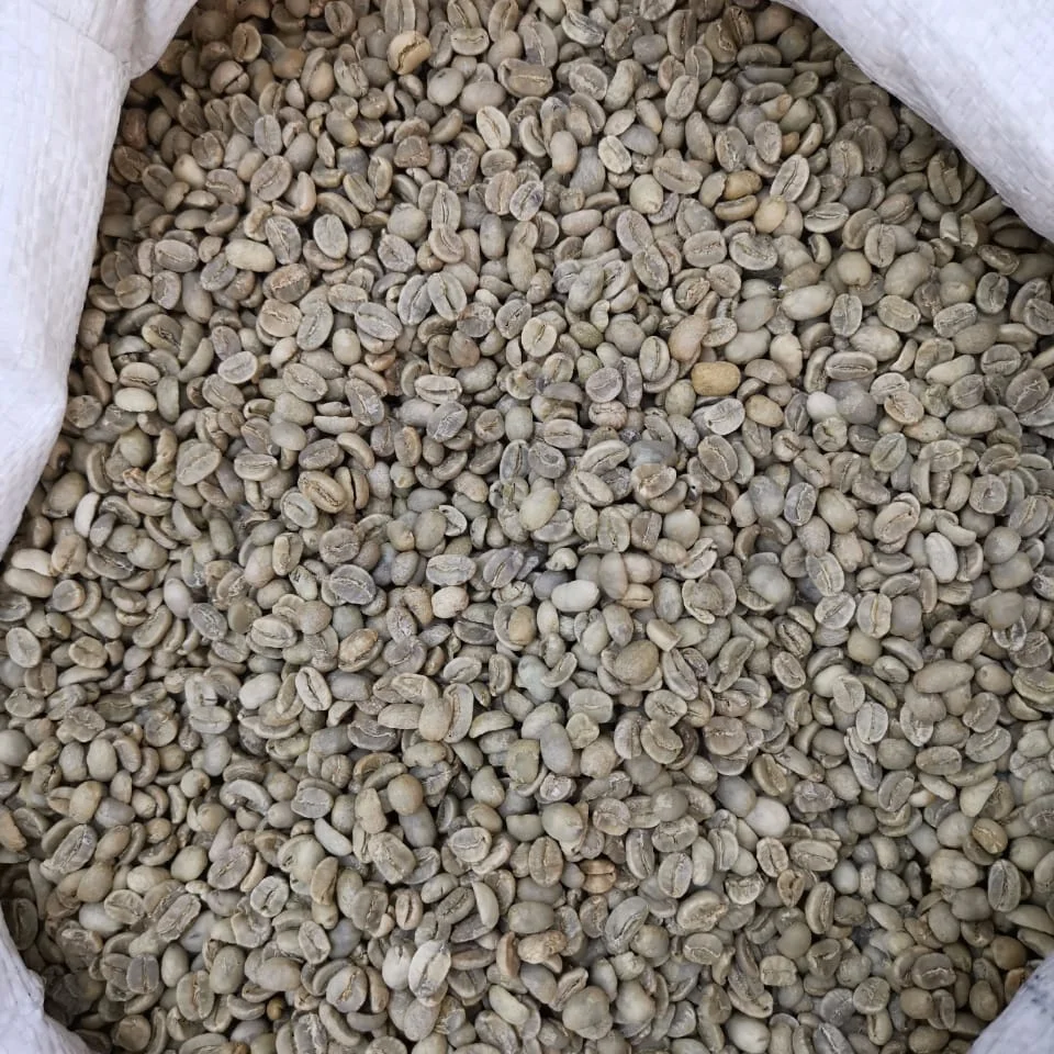 Индийские муссоные малабарские фирменные кофейные зерна, оптовая цена, доставка по всему миру