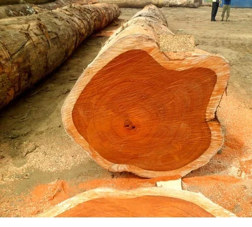 Высококачественные деревянные бревна из Тиковой сосны для дизайна собственных домов, офисная мебель и камины