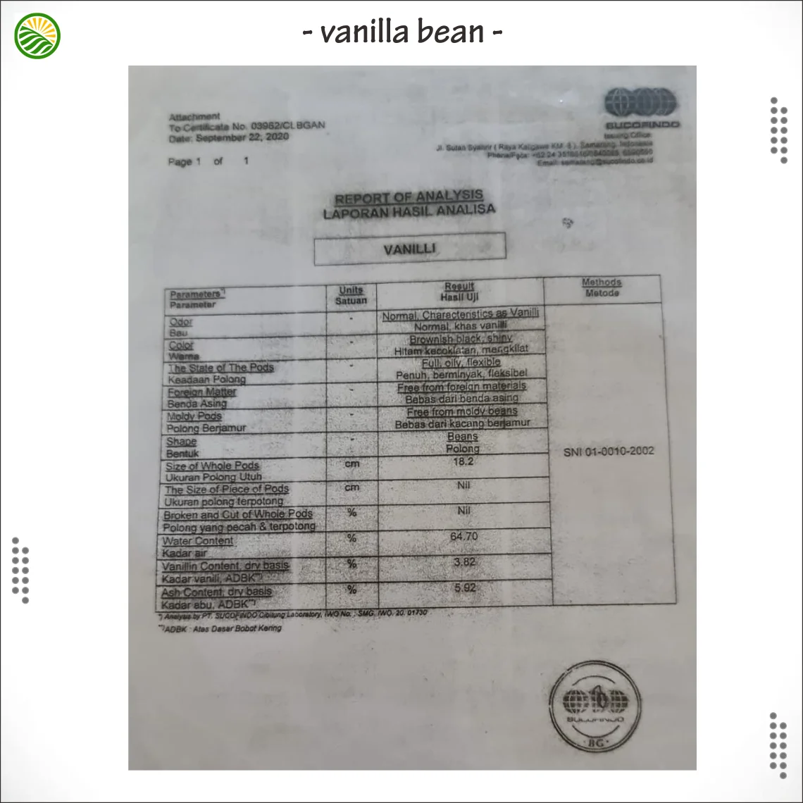 mockup vanili 15.png